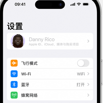 企石镇appleID维修服务iPhone设置中Apple ID显示为灰色无法使用 