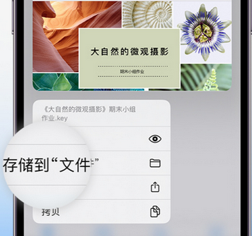 企石镇apple维修中心分享iPhone文件应用中存储和找到下载文件