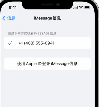 企石镇apple维修iPhone上无法正常发送iMessage信息 