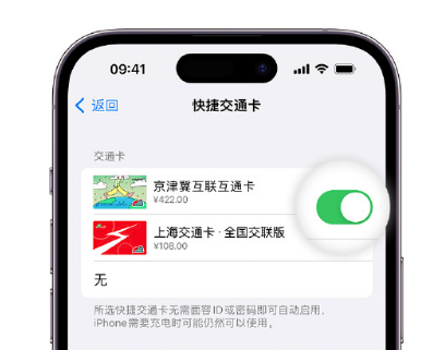 企石镇apple维修点分享iPhone上更换Apple Pay快捷交通卡手绘卡面 