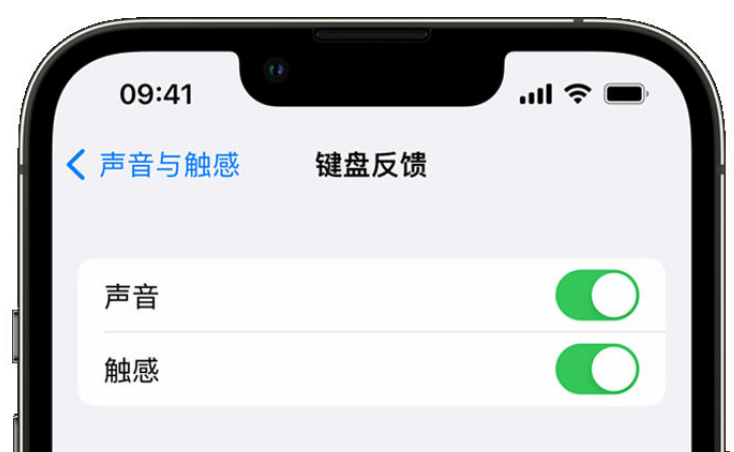 iPhone 14如何开启触感键盘？iPhone 14触感键盘使用方法