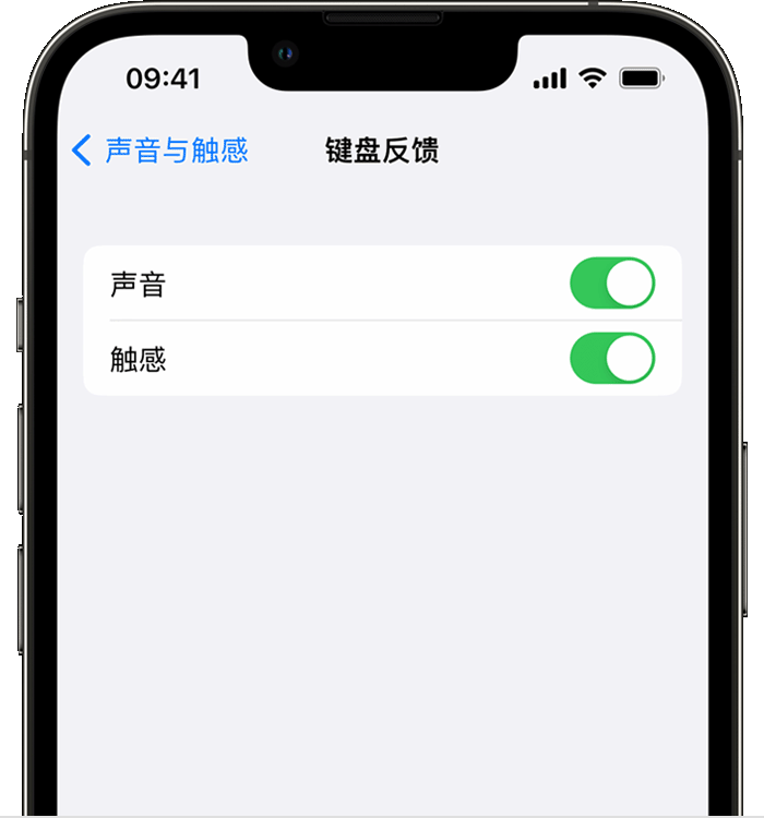 企石镇苹果14维修店分享如何在 iPhone 14 机型中使用触感键盘 