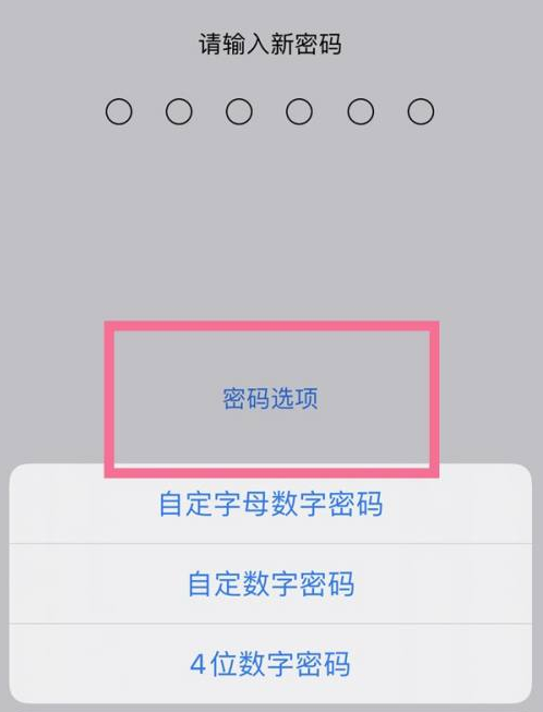 企石镇苹果14维修分享iPhone 14plus设置密码的方法 