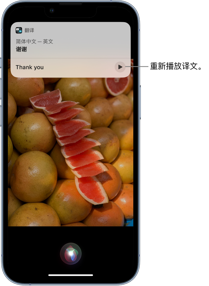 企石镇苹果14维修分享 iPhone 14 机型中使用 Siri：了解 Siri 能帮你做什么 