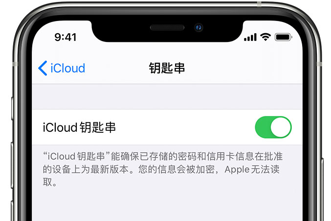 企石镇苹果手机维修分享在 iPhone 上开启 iCloud 钥匙串之后会储存哪些信息 