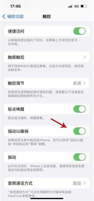 企石镇苹果手机维修分享iPhone手机如何设置摇一摇删除文字 